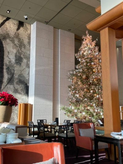 Grand Hyatt Christmas decor
